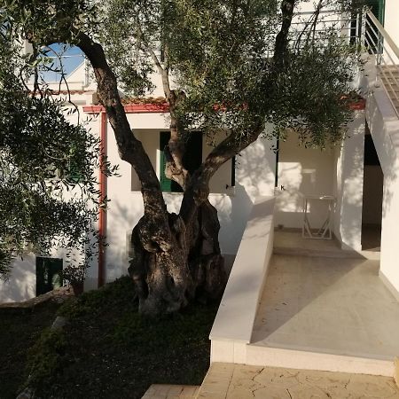 Villa Elisa Vieste Buitenkant foto