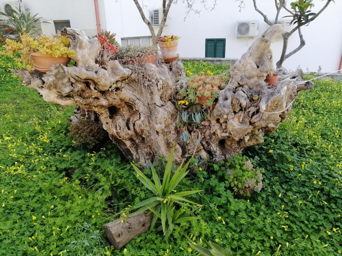Villa Elisa Vieste Buitenkant foto