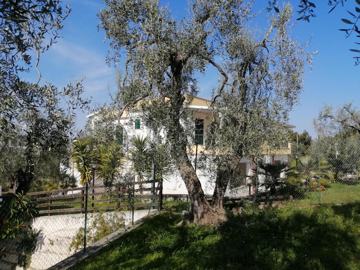 Villa Elisa Vieste Buitenkant foto